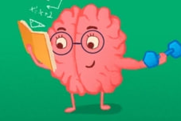 Знаете ли вы, что самая обычная тренировка способна стать настоящим топливом для вашего мозга? Это не преувеличение! Научно доказано, что физическая активность запускает в нем мощную «перезагрузку»!