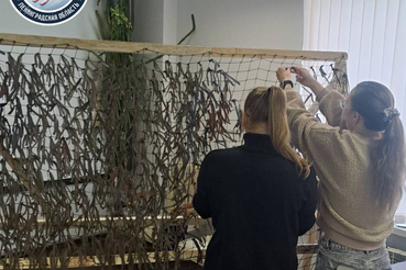 Дорогие друзья!