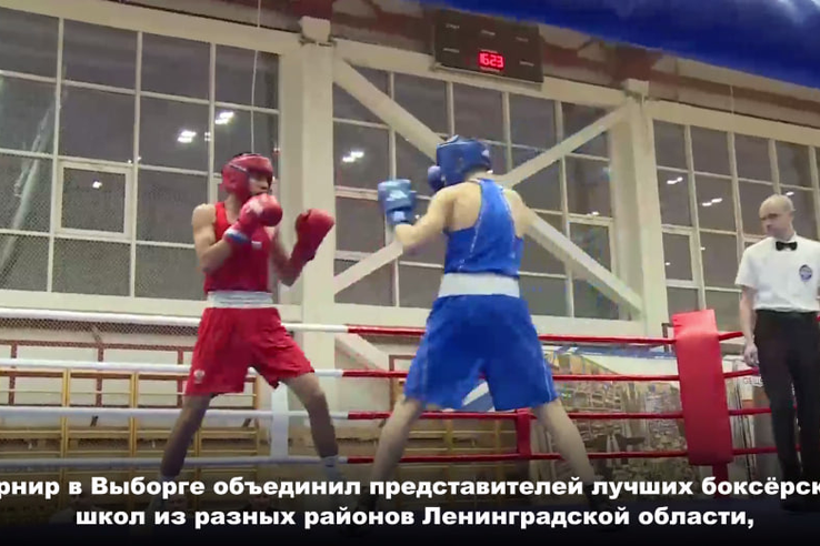 Спортсмены из разных уголков Северо-Западного федерального округа встретились в Выборге на V турнире по боксу памяти председателя общественного объединения «Фаворит Выборг» Александра Петрова.