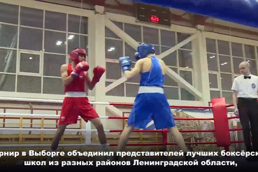 Спортсмены из разных уголков Северо-Западного федерального округа встретились в Выборге на V турнире по боксу памяти председателя общественного объединения «Фаворит Выборг» Александра Петрова.