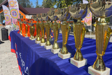 Ярким финалом нашего первенства спортивной школы по ОФП стали соревнования по возрастным группам.