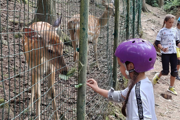 Не только спорт! Отдых и развитие фристайлистов!