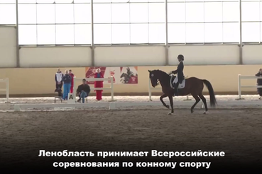 Ленинградская область принимает Всероссийские соревнования по конному спорту