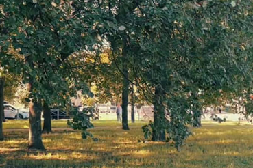 Куда они все бегут?